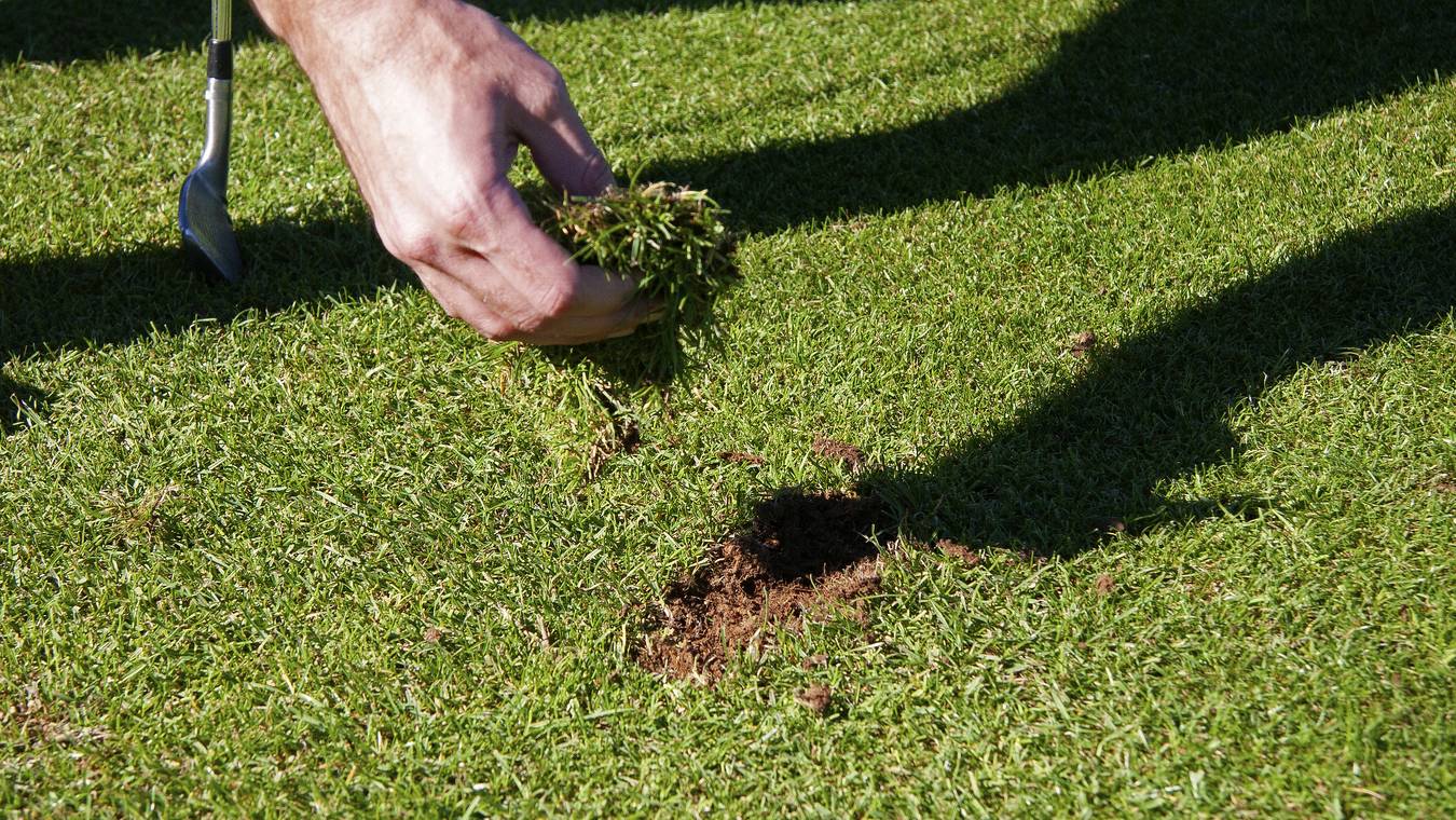 Divot zurücklegen 